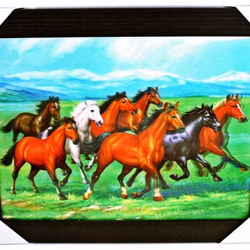 3D Lenticular Picture Frame Wild Horse 198