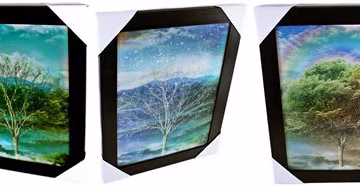 3D Lenticular Picture Frame Four Season Tree Triple Image 327