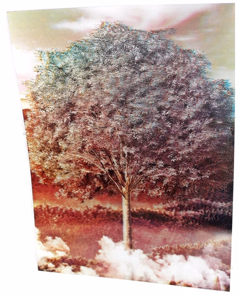 3ct Lenticular 3D Image Holographic Poster - Tree Seasons
