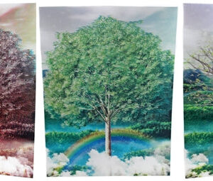 3ct Lenticular 3D Image Holographic Poster - Tree Seasons