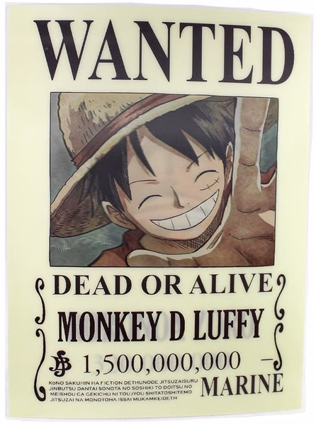 3ct Lenticular 3D Image Holographic Poster - One Piece - Wanted