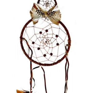 6" Dreamcatcher No.DC-113