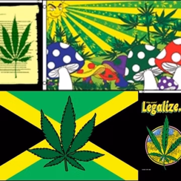 5ct 3x5ft Leaf Flag Assortment