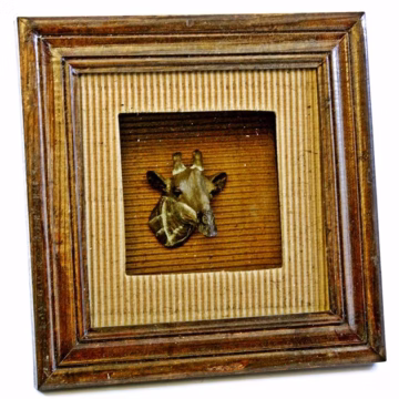 Framed Giraffe Mount