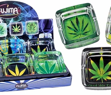 Glass Square Ashtray 6pk - Leaves
