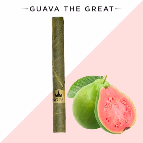 King Palm Mini Tube Single Rolls 24pk - Guava the Great