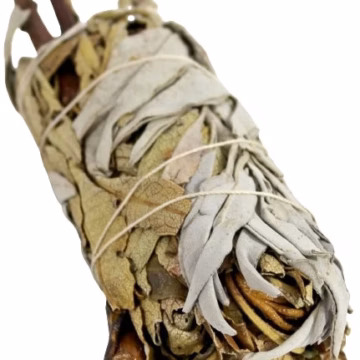 5ct Yerba Santa and White Sage Smudge Stick - 5"L