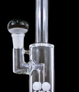 12" Starburst Perk 19mm Stemless Straight Water Pipe