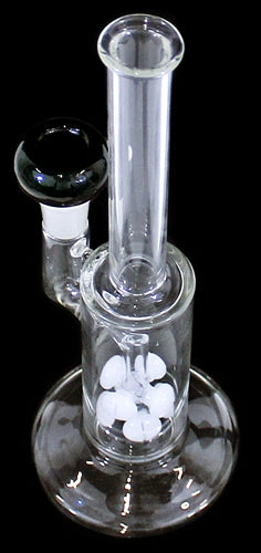 12" Starburst Perk 19mm Stemless Straight Water Pipe