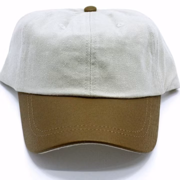 Two Tone Brown Hat