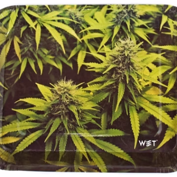 Wet Industry Disposable 6pk Rolling Trays - Flower Room