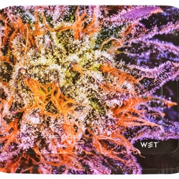 Wet Industry Disposable 6pk Rolling Trays - Purple Nugz