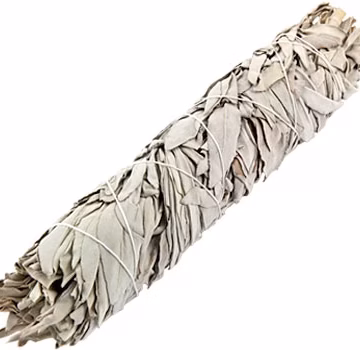 10ct Sage Smudge Stick - California White Sage 9"