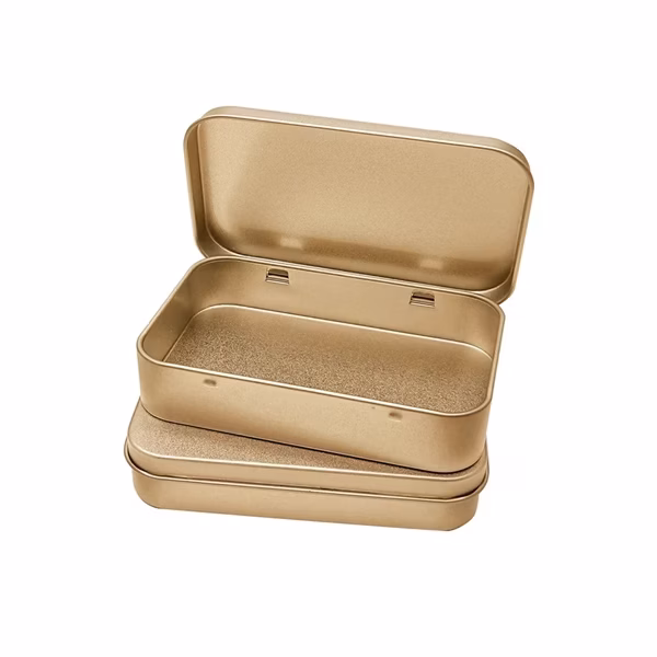10ct Golden Tin Bug Box Container