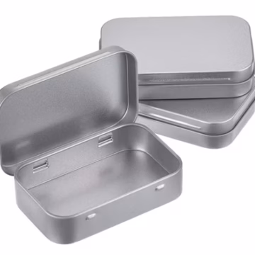 10ct Silver Tin Bug Box Container