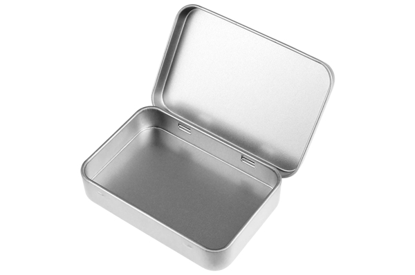 10ct Silver Tin Bug Box Container