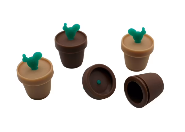 50ct Cactus Silicone Stash Jar